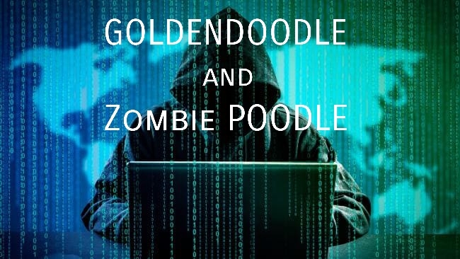 حملات ZombiePOODLE و GOLDENDOODLE